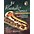 Hal Leonard Play-Along First Recital Series Book ... Hal Leonard Play-Along First Recital Series Book with CD Tenor Saxophone