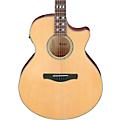 Ibanez AE170 Grand Auditorium Acoustic-Electric Guitar - Natural
