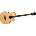 Ibanez AEB5E Acoustic-Electric Bass Guitar - Natural
