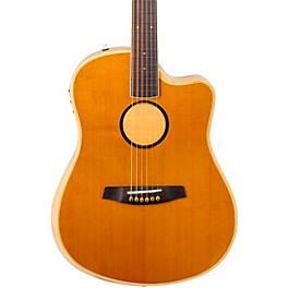 LR Baggs AEG-1 Torrefied Sitka Spruce Dreadnought Acoustic-Electric Guitar