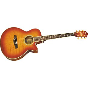 ibanez aeg20e price