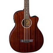 AXS Acoustic-Electric Bass Gloss Natural