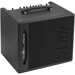 AER Amp-One 200W Bass 1x10 Combo Amp
