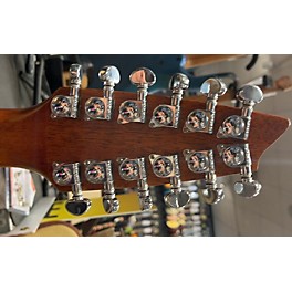 Used Breedlove Atlas Series AC250/SM-12 12 String Acoustic Electric Guitar