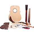 Martin Build Your Own Guitar Kit Rosewood Dreadnought