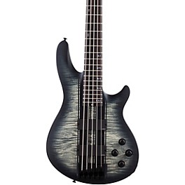 Schecter Guitar Research C-5 GT