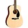 Fender CD-60S Dreadnought Acoustic Guitar Natural