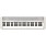 Casio Casiotone CT-S1 61-Key Portable Keyboard - White