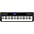 Casio Casiotone CT-S410 61-Key Portable Keyboard 