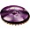 Paiste Colorsound 900 Sound Edge Hi Hat Cymbal Purple 14 in. Top