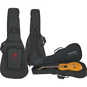 breedlove gig bag