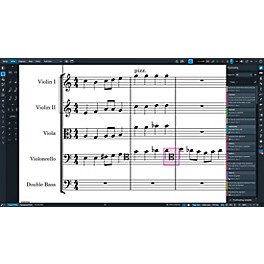 Steinberg Dorico Pro 6 Scoring Software Crossgrade