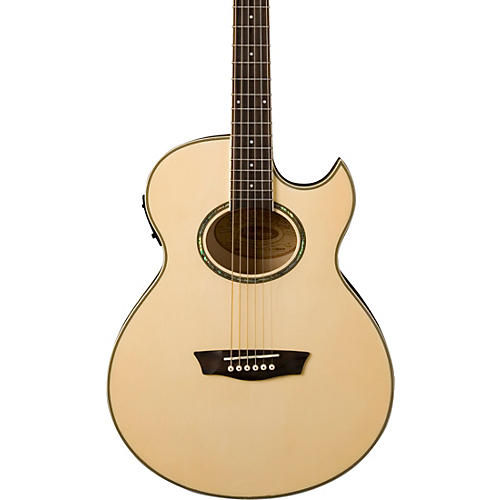 washburn ea20 series