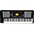 KORG EK-50 CSA 61-Key Arranger Keyboard 