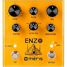 Open Box Meris Enzo Synthesizer Effects Pedal Level 1