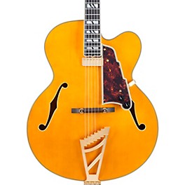 D'Angelico Excel EXL-1 Hollowbody Electric Guitar
