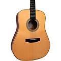 Gold Tone GT-Dread All Solid Wood Dreadnought Acoustic-Electric Guitar Natural
