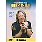 Homespun Anyone Can Play Harmonica: An Easy Guide To Getting Started DVD thumbnail