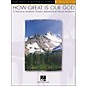 Hal Leonard How Great Is Our God - Phillip Keveren Series for Big Note Piano thumbnail