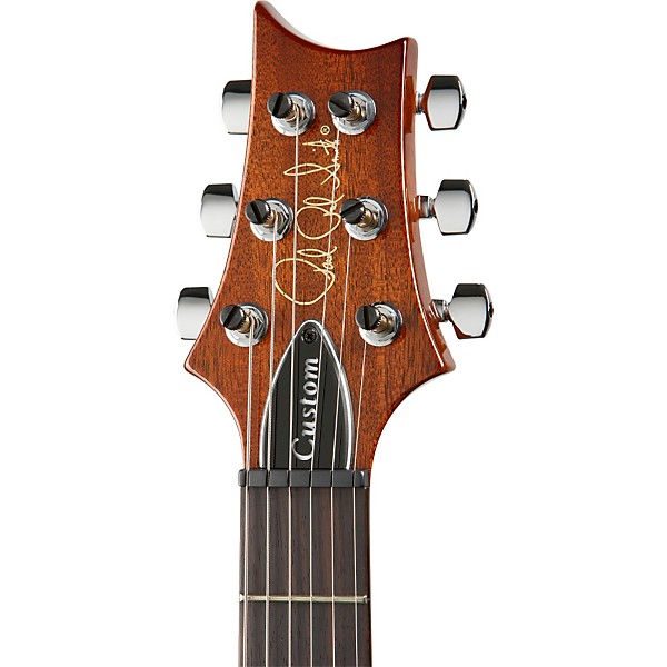 PRS Custom 24 with Birds Electric Guitar Matteo Mist