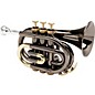 Allora MXPT-5801-BK Black Nickel Series Pocket Trumpet Black Nickel thumbnail