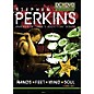 The Drum Channel Stephen Perkins Hands Feet Mind Soul 2 DVDs thumbnail
