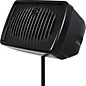 Galaxy Audio HS7 200W Passive Compact Personal Hot Spot Stage Monitor Black