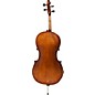 Open Box Bellafina 50L cello outfit Level 1 1/2 Size