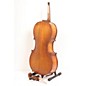Open Box Bellafina 50L cello outfit Level 1 1/2 Size