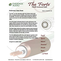 Evidence Audio The Forte Instrument Cable 10 ft. Right to Straight