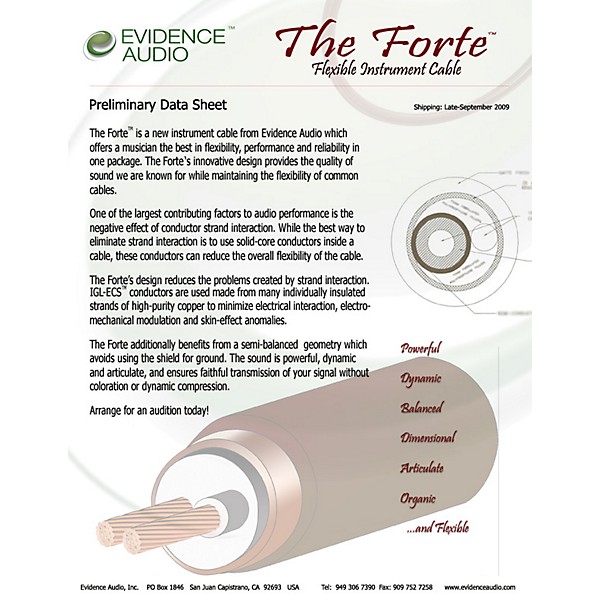 Evidence Audio The Forte Instrument Cable 20 ft. Straight to Straight