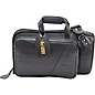 Gard Mid-Suspension Cornet Gig Bag