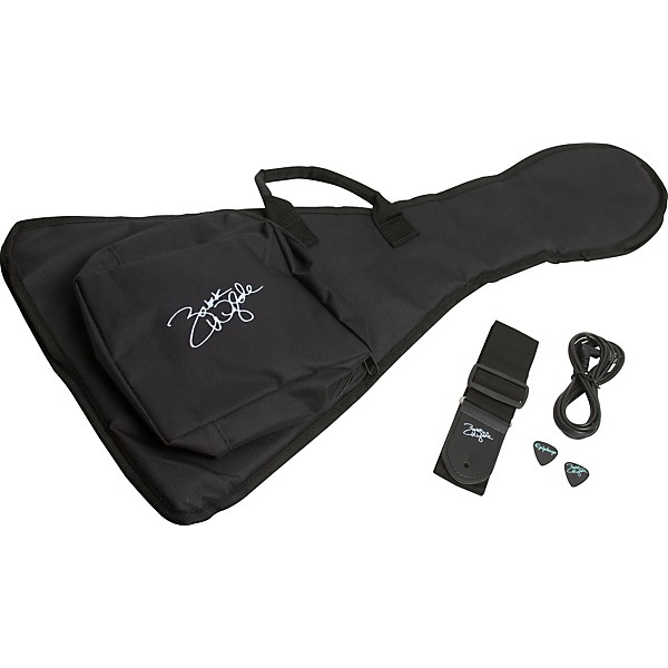 Epiphone Dot ギグバッグ・弦セット Epiphone Dot ギグバッグ・弦セット Epiphone Dot ギグバッグ・弦