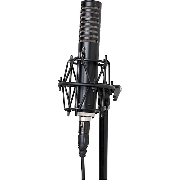 Open Box Royer R-101 Ribbon Mic Level 1 Black