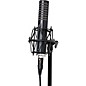 Open Box Royer R-101 Ribbon Mic Level 1 Black thumbnail
