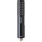 Open Box Royer R-101 Ribbon Mic Level 1 Black