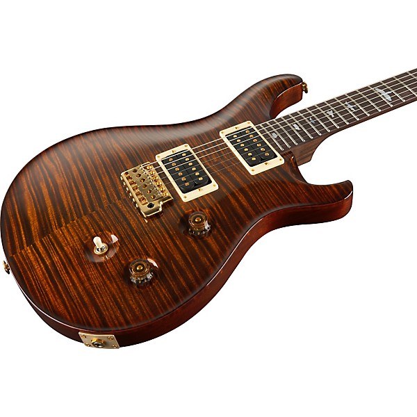 PRS Experience 2010 Custom 24 with Birds Electric Guitar