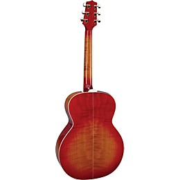 TAKAMINE、アコースティック！ビンテージ… H70316000001000-00-2000x2000.jpg