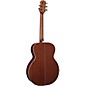 Takamine G Series EG450 Deluxe NEX Mahogany Acoustic-Electric Guitar T Burst