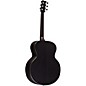 RainSong Black Ice Series BIJM1000N2 Graphite Acoustic-Electric Guitar