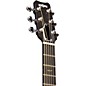 Open Box RainSong Black Ice Series BIJM1000N2 Graphite Acoustic-Electric Guitar Level 1