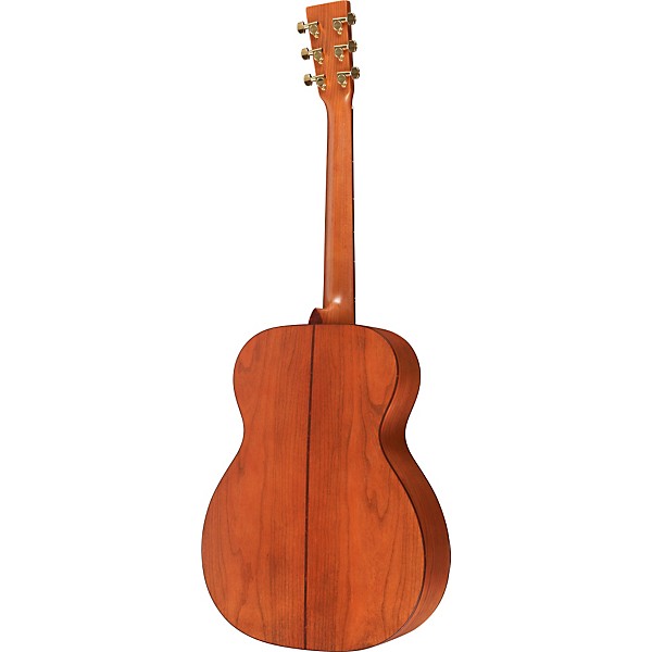 Martin Martin SWOMGT Sustainable Wood Series Orchestra