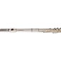 Open Box Pearl Flutes PF500 Series Student Flute Level 2 Regular 194744032981