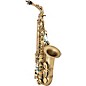 P. Mauriat PMXA-67R Series Professional Alto Saxophone Dark Lacquer