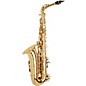 P. Mauriat PMXA-67R Series Professional Alto Saxophone Gold Lacquer