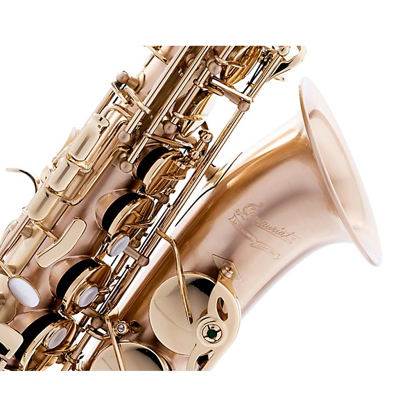 P. Mauriat Le Bravo Intermediate Alto Saxophone Matte Finish