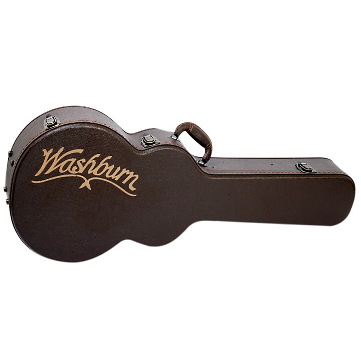 washburn acoustic guitar deluxe case