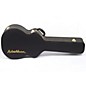 Washburn Mini Jumbo Acoustic Guitar Case thumbnail