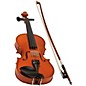 Open Box eMedia My Violin Starter Pack Level 1 1/8 Size thumbnail