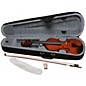 Open Box eMedia My Violin Starter Pack Level 2 3/4 Size 190839198242